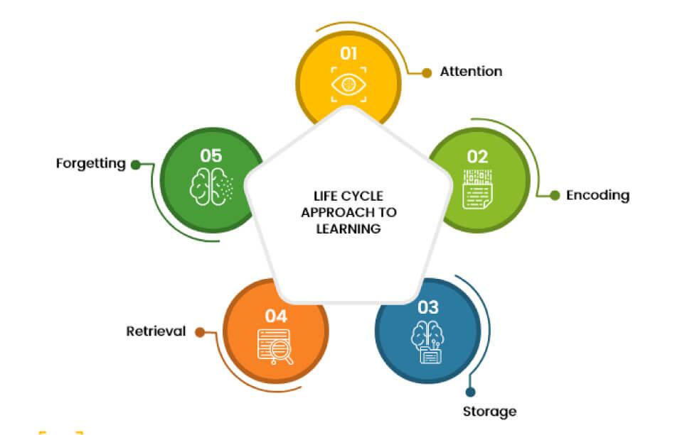 Life Cycle Aproach to Learning