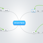 Mindmapping Tips For Educators