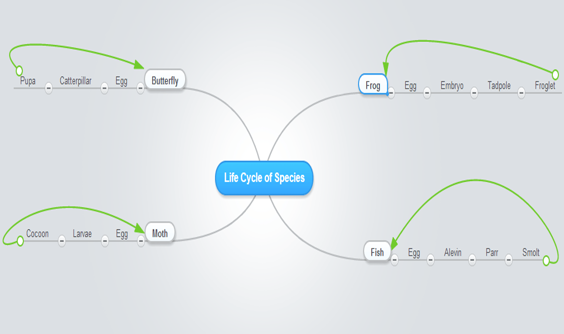 Mindmapping Tips For Educators