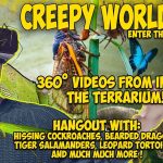 Science Education Explore the World of Creepy Crawly Wonders with Creepy World VR™