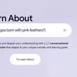 Google Launches New AI Tool Learn About to Revolutionize Learning