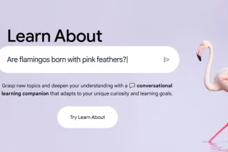 Google Launches New AI Tool Learn About to Revolutionize Learning