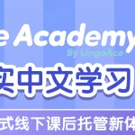 LingoAce Launches Ace Academy Learning Centers Globally