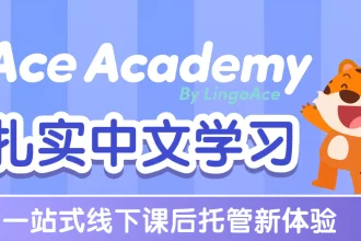 LingoAce Launches Ace Academy Learning Centers Globally